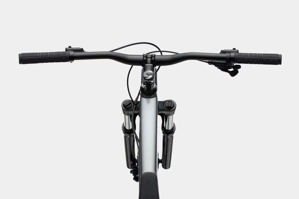 Bicicleta Cannondale Trail Women's 5 29' Lavender 2021
